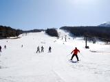 しらかば2in1スキー場